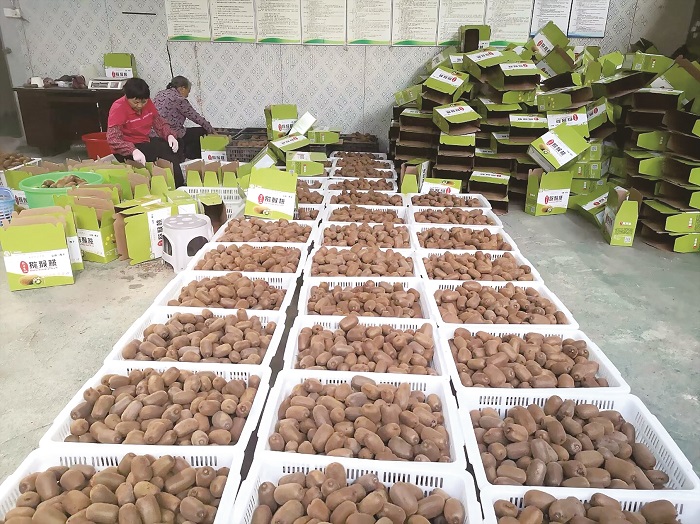 重庆农产品二手交易网