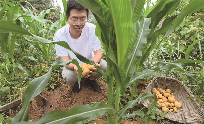 4)政务深度 万余斤洋芋(分离图)0f(160156)-20230601091731.jpg