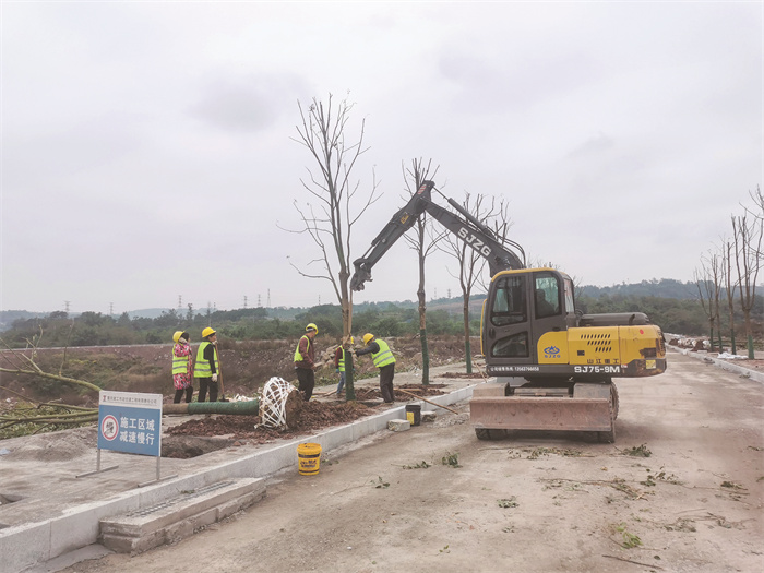 涪陵高新区10条新建道路开始绿化(分离图(470209)-20231116083008.jpg
