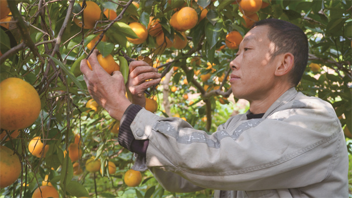 右一 百胜镇(分离图)4c0185962(515277)-20231212091443.jpg