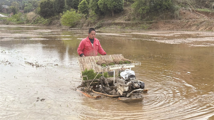 5 早稻移栽忙 机械来助力(分离图)c(751292)-20240409161400.jpg