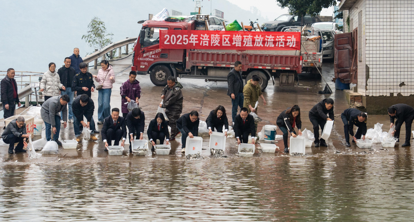 增殖放流活动现场.png