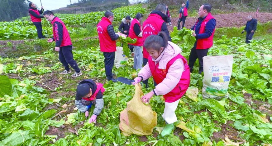 干劲十足的小朋友志愿者 记者 张小燕 摄.png