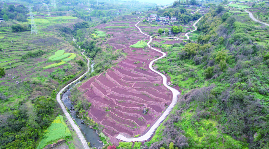 金银片区高标准农田(部分) 王韡 摄.png