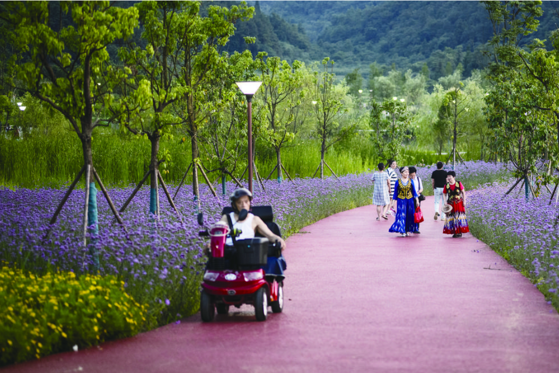7月23日傍晚,市民和游客在涪陵武陵山龙塘小微湿地散步.png ""